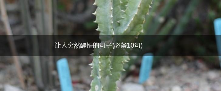 让人突然醒悟的句子(必备10句),第1张