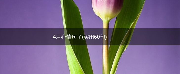 4月心情句子(实用60句),第1张