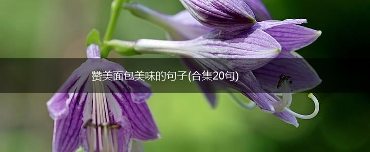 赞美面包美味的句子(合集20句),第1张