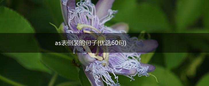 as表倒装的句子(优选60句),第1张