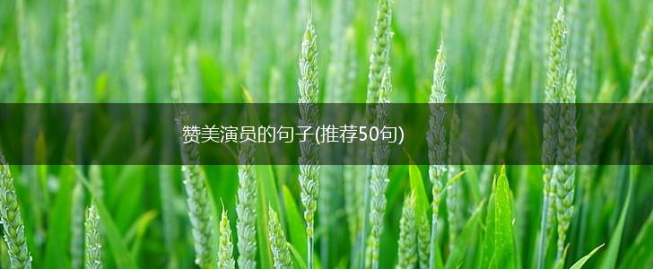 赞美演员的句子(推荐50句),第1张
