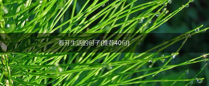 看开生活的句子(推荐40句),第1张