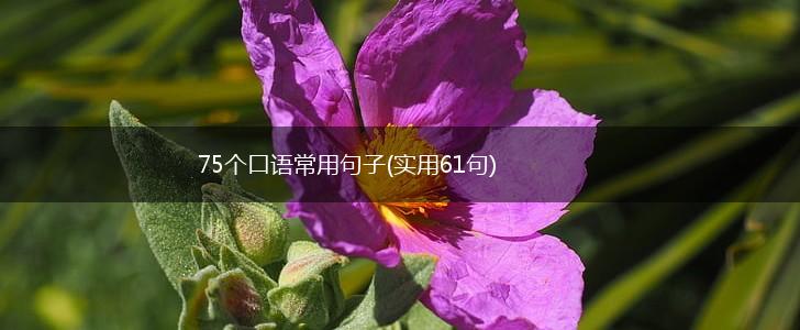 75个口语常用句子(实用61句),第1张