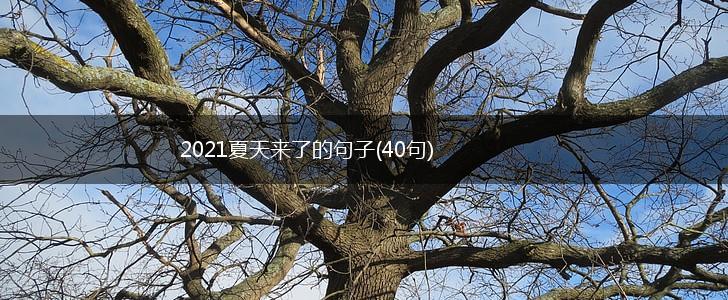 2021夏天来了的句子(40句),第1张