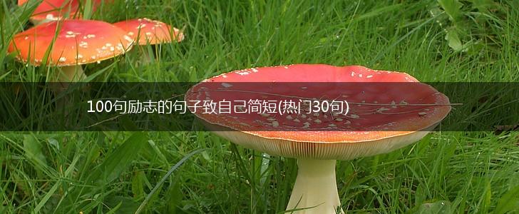 100句励志的句子致自己简短(热门30句),第1张