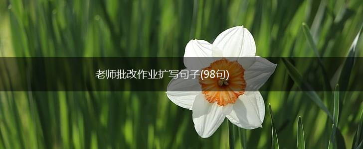 老师批改作业扩写句子(98句),第1张
