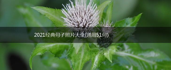 2021经典句子照片大全(通用51句),第1张