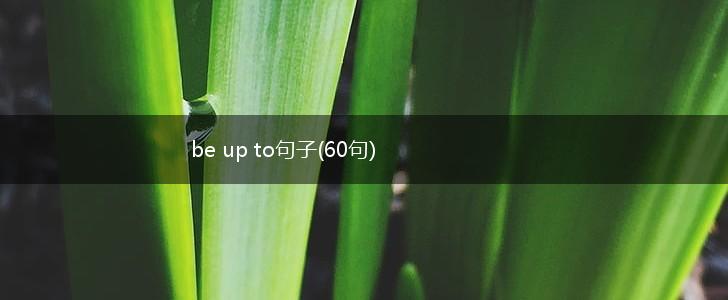 be up to句子(60句),第1张