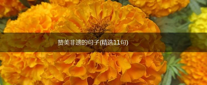 赞美非遗的句子(精选11句),第1张