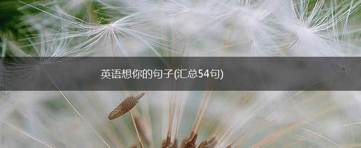 英语想你的句子(汇总54句),第1张