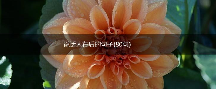 说话人在后的句子(80句),第1张