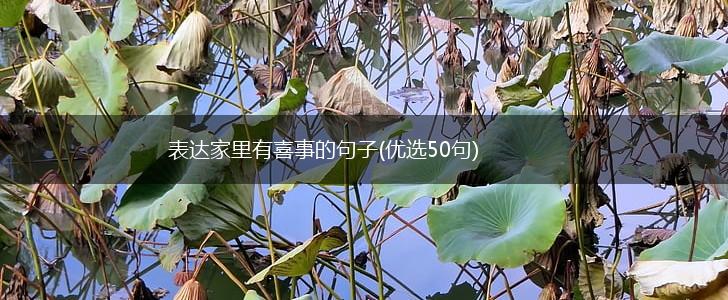 表达家里有喜事的句子(优选50句),第1张