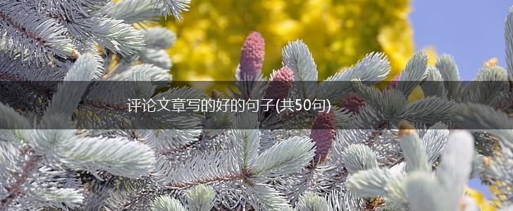 评论文章写的好的句子(共50句),第1张
