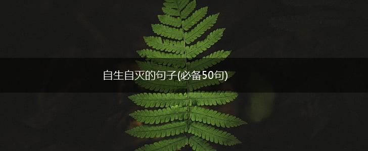 自生自灭的句子(必备50句),第1张
