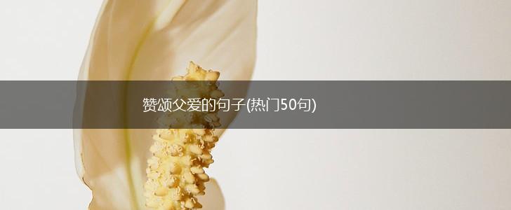 赞颂父爱的句子(热门50句),第1张
