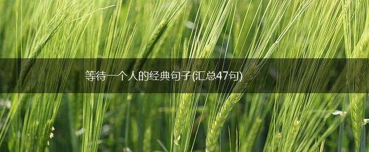 等待一个人的经典句子(汇总47句),第1张
