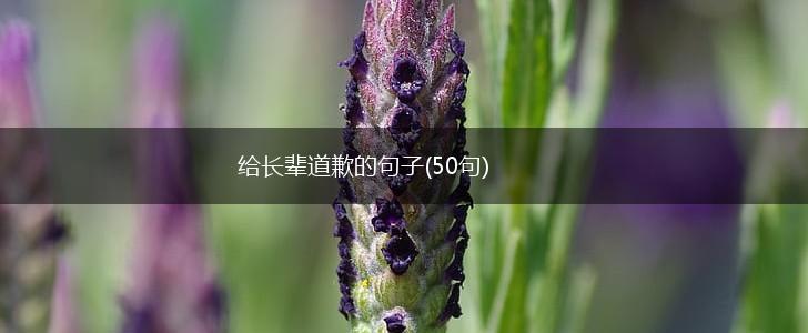 给长辈道歉的句子(50句),第1张