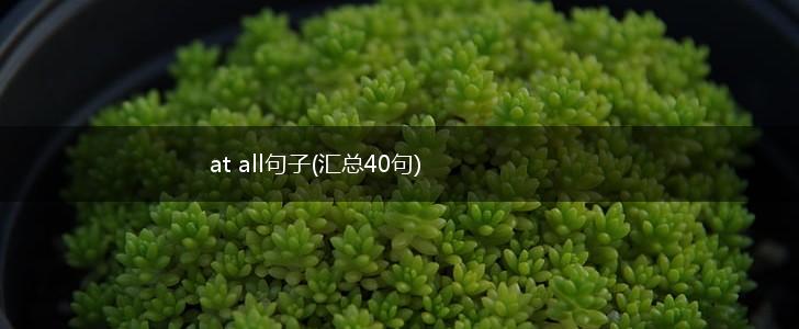 at all句子(汇总40句),第1张