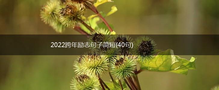 2022跨年励志句子简短(40句),第1张