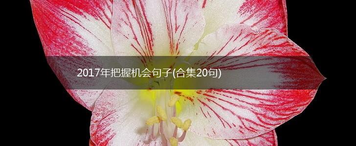 2017年把握机会句子(合集20句),第1张