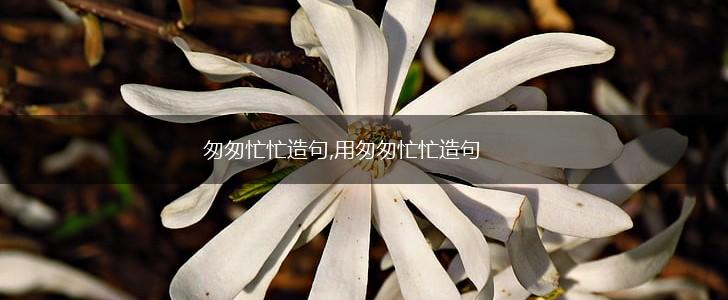 匆匆忙忙造句,用匆匆忙忙造句,第1张