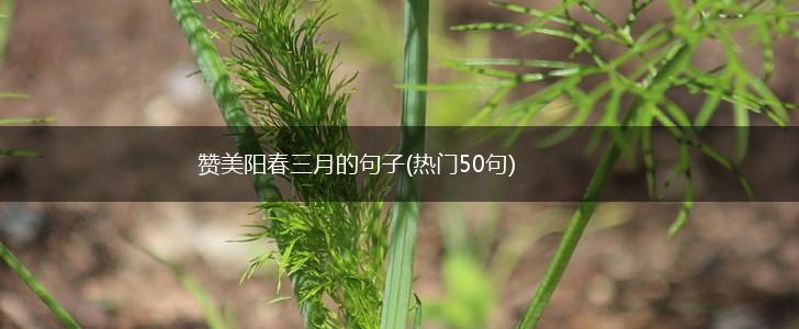 赞美阳春三月的句子(热门50句),第1张
