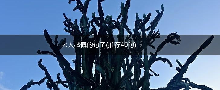 老人感慨的句子(推荐40句),第1张