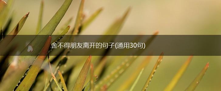 舍不得朋友离开的句子(通用30句),第1张