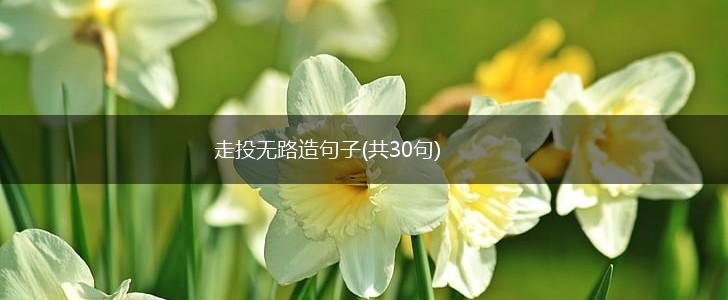 走投无路造句子(共30句),第1张