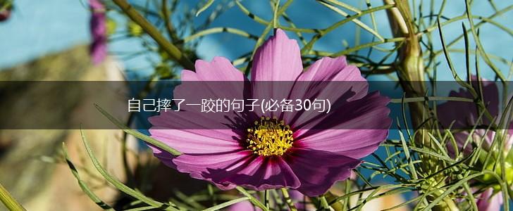 自己摔了一跤的句子(必备30句),第1张