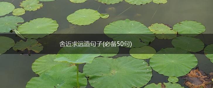 舍近求远造句子(必备50句),第1张