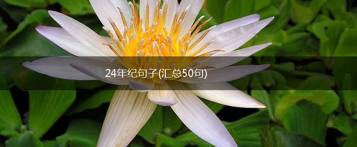 24年纪句子(汇总50句),第1张