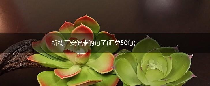祈祷平安健康的句子(汇总50句),第1张