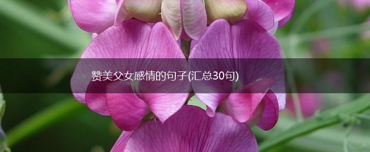 赞美父女感情的句子(汇总30句),第1张