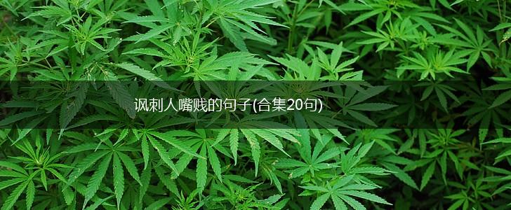 讽刺人嘴贱的句子(合集20句),第1张