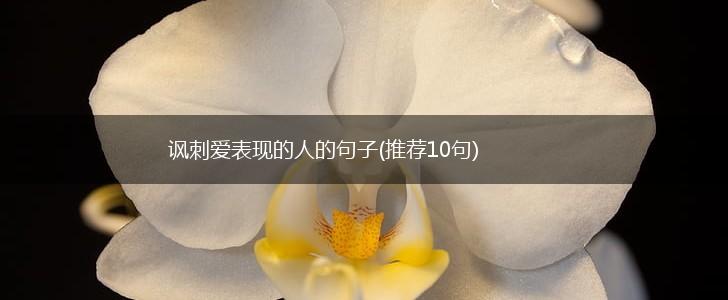 讽刺爱表现的人的句子(推荐10句),第1张