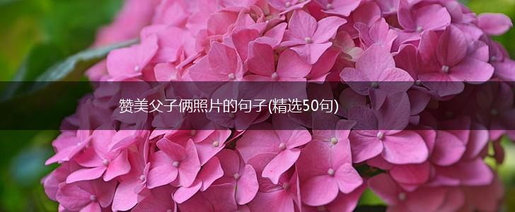 赞美父子俩照片的句子(精选50句),第1张