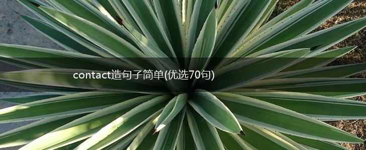 contact造句子简单(优选70句),第1张