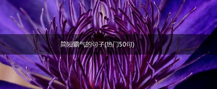 简短霸气的句子(热门50句),第1张