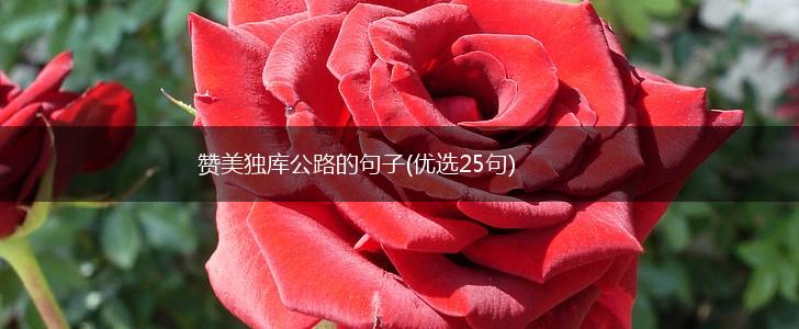 赞美独库公路的句子(优选25句),第1张