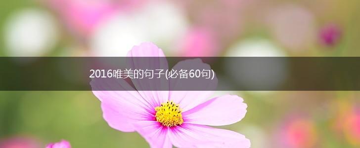 2016唯美的句子(必备60句),第1张