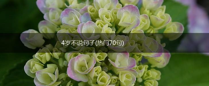 4岁不说句子(热门70句),第1张