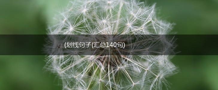 (划线句子(汇总140句),第1张