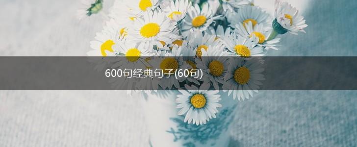 600句经典句子(60句),第1张