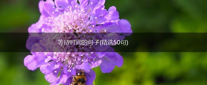 等待时间的句子(精选50句),第1张