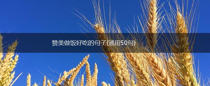 赞美做饭好吃的句子(通用50句),第1张