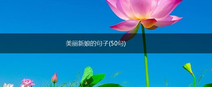 美丽新娘的句子(50句),第1张