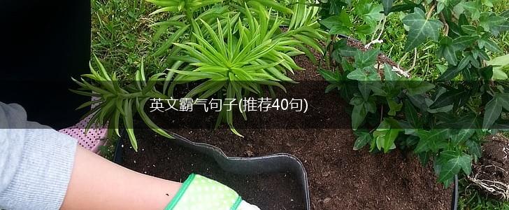 英文霸气句子(推荐40句),第1张