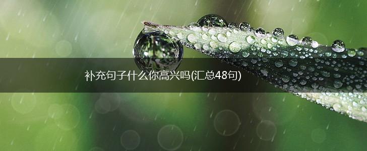 补充句子什么你高兴吗(汇总48句),第1张