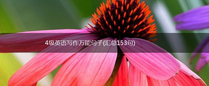 4级英语写作万能句子(汇总153句),第1张